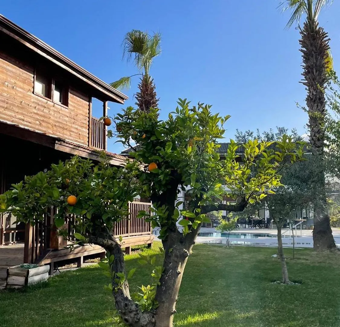Holiday home Defne Olive Gardens, Koca Calis, Fethiye - Previously Defne Pansiyon