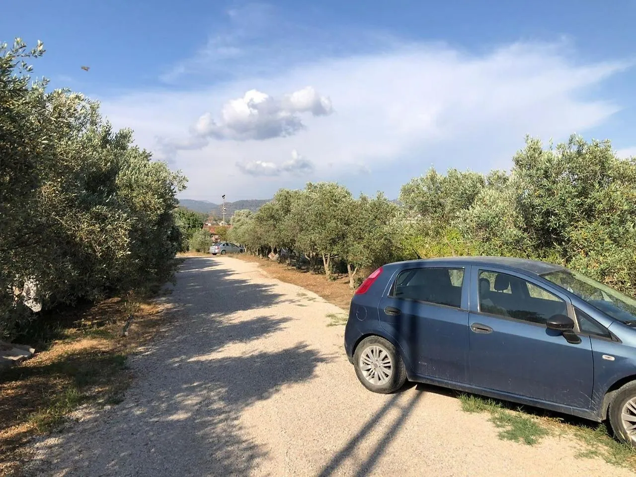Defne Olive Gardens, Koca Calis, Fethiye - Previously Defne Pansiyon Turkey