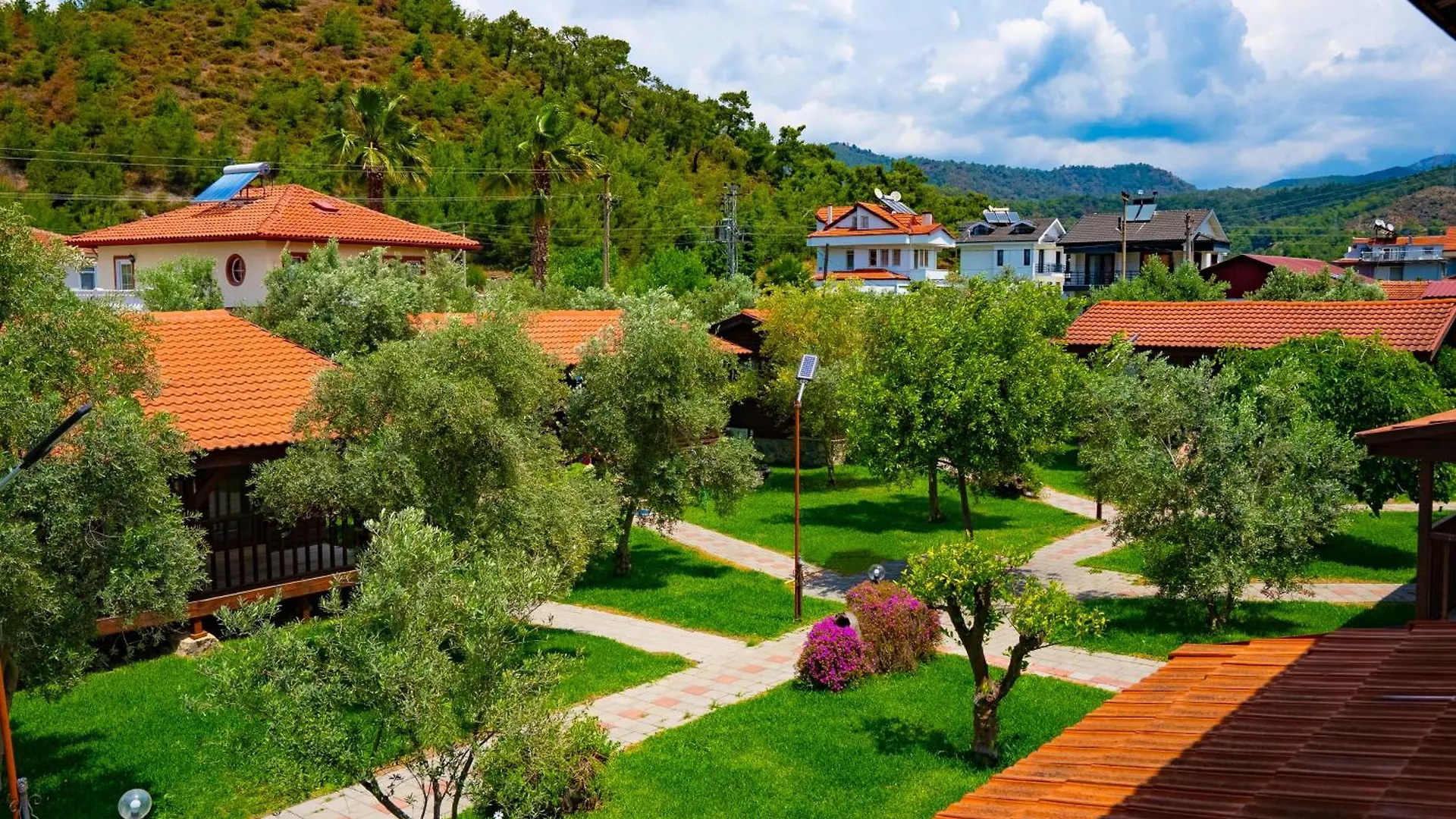 Defne Olive Gardens, Koca Calis, Fethiye - Previously Defne Pansiyon Turkey