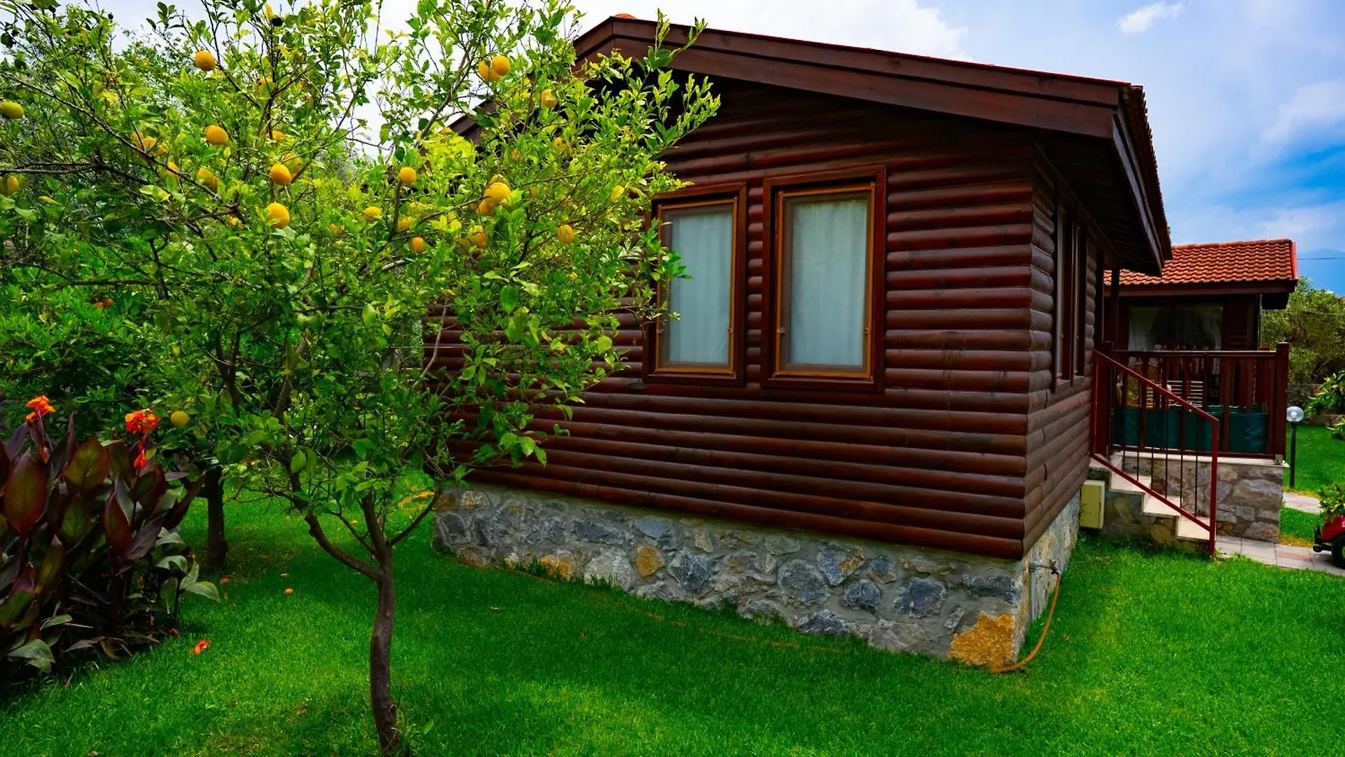 Defne Olive Gardens, Koca Calis, Fethiye - Previously Defne Pansiyon Holiday home