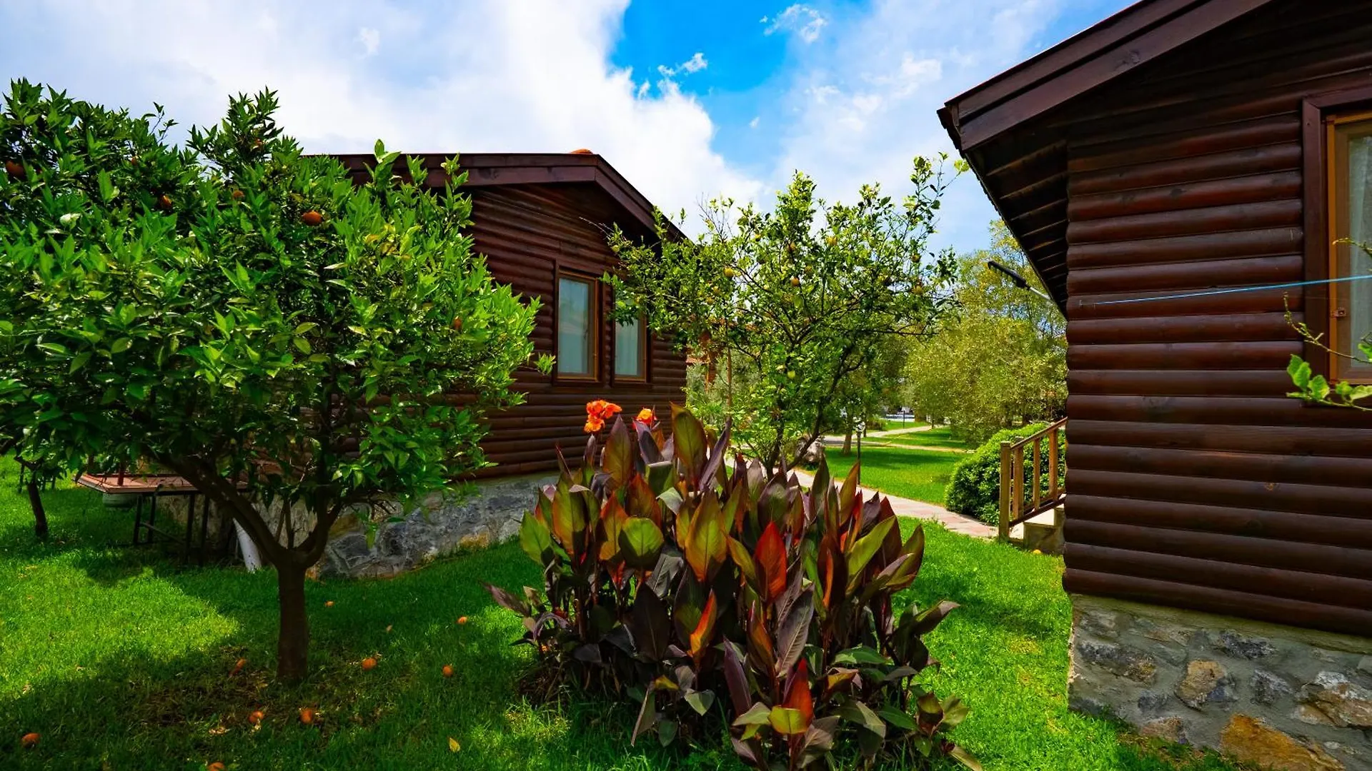 Defne Olive Gardens, Koca Calis, Fethiye - Previously Defne Pansiyon 0*,