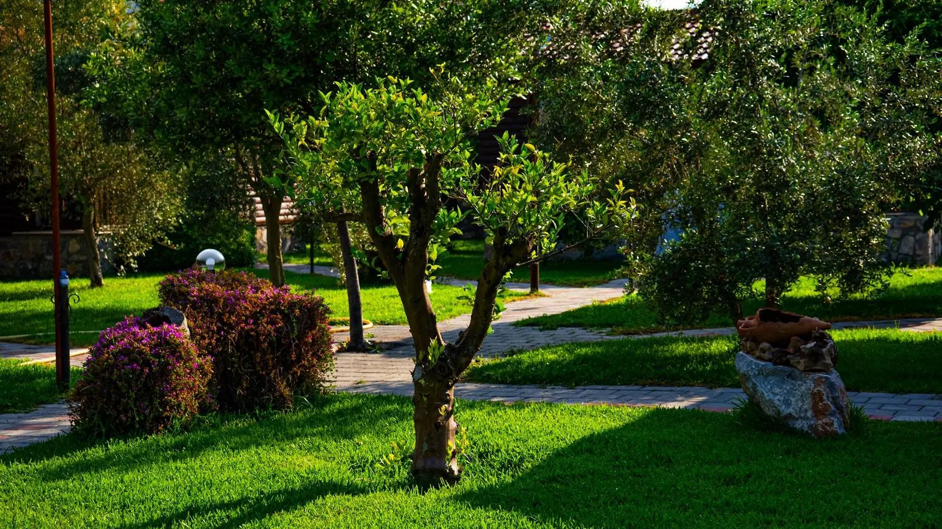 Defne Olive Gardens, Koca Calis, Fethiye - Previously Defne Pansiyon Holiday home