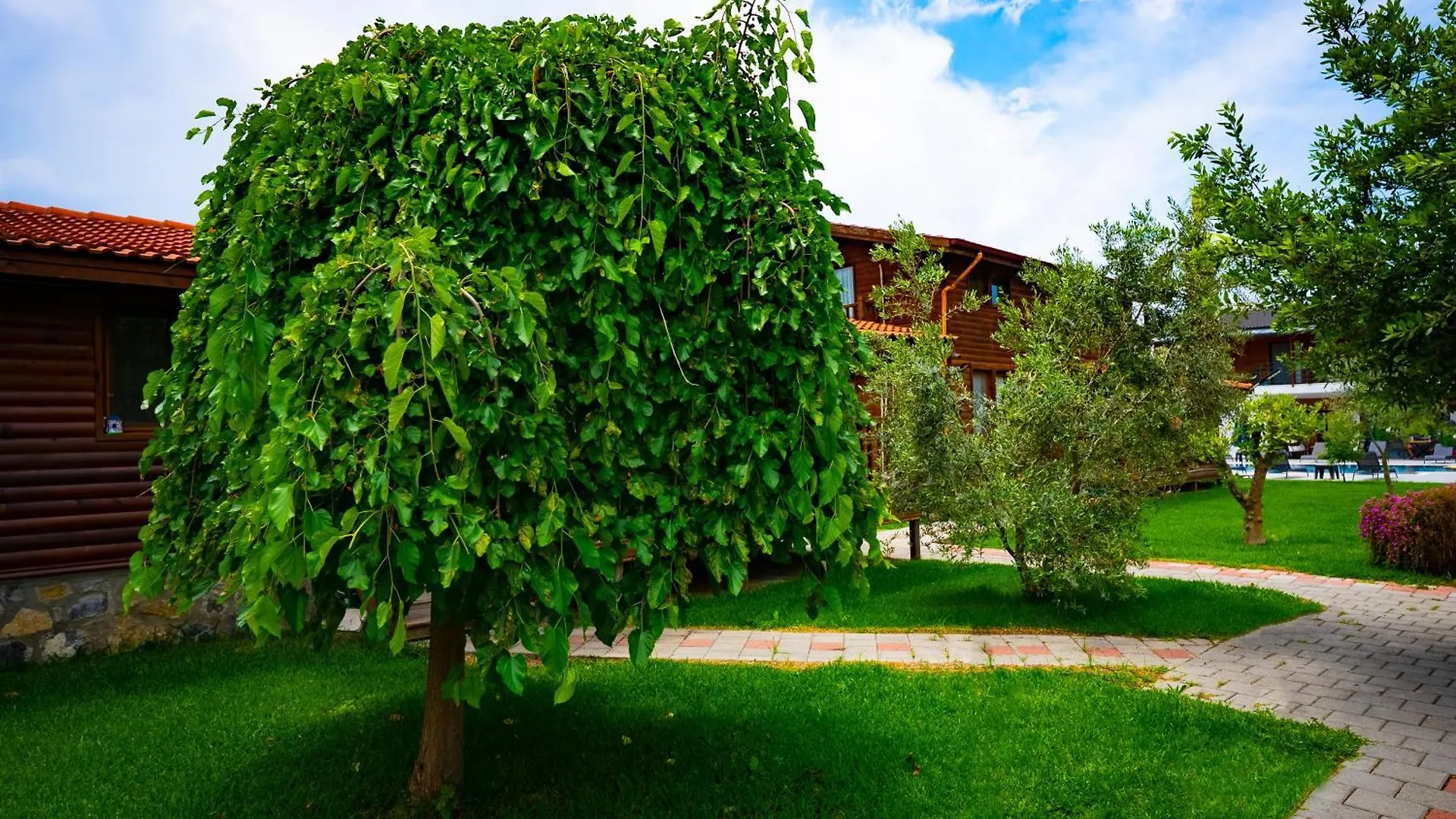 Defne Olive Gardens, Koca Calis, Fethiye - Previously Defne Pansiyon